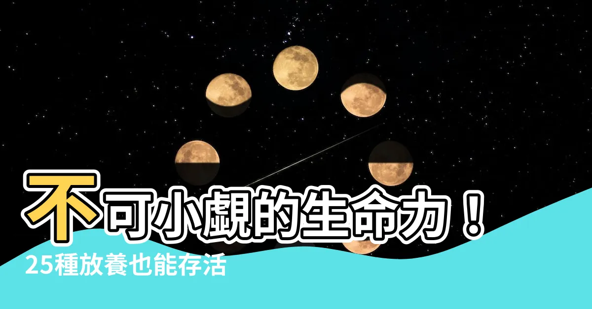 【生命力 強的觀賞魚】不可小覷的生命力！25種放養也能存活的強健觀賞魚
