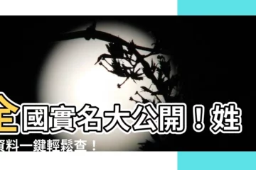 【全國姓名查詢】全國實名大公開！姓名資料一鍵輕鬆查！