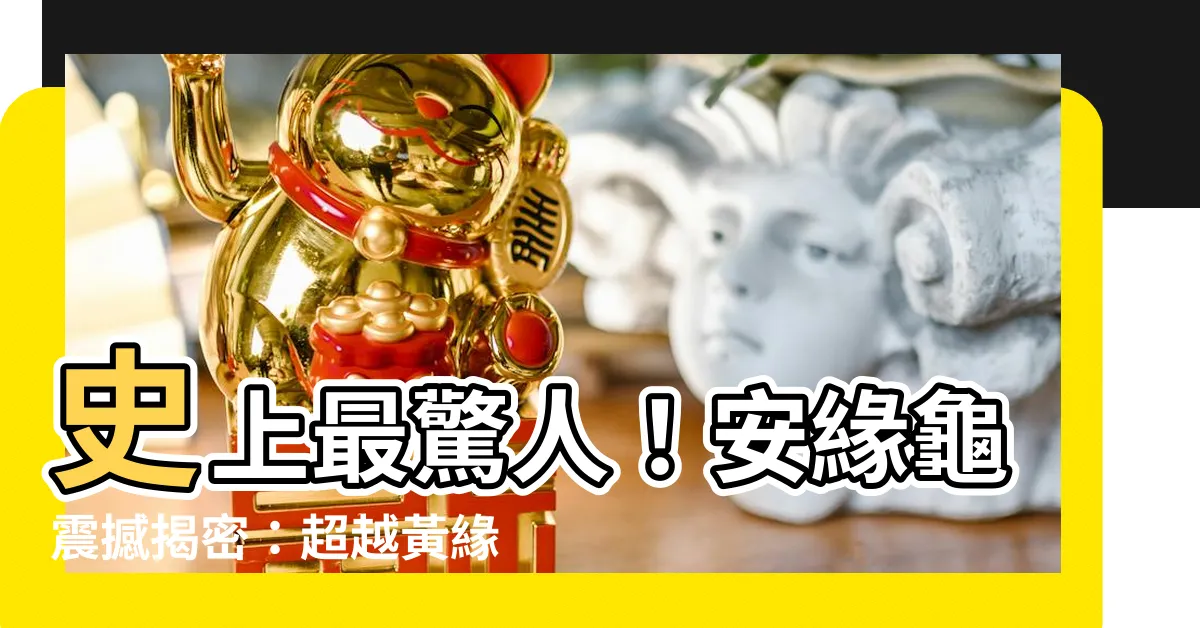 【安緣龜】史上最驚人！安緣龜震撼揭密：超越黃緣，躍居龜界之巔！