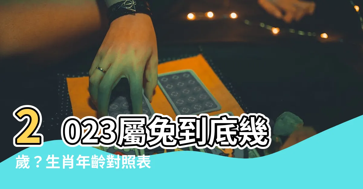 【2023屬兔幾歲】2023屬兔到底幾歲？生肖年齡對照表大公開！