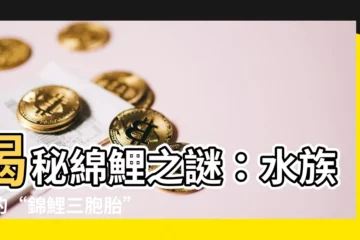 【綿鯉】揭秘綿鯉之謎：水族界的“錦鯉三胞胎”