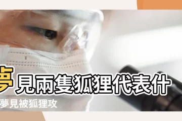 【夢見兩隻狐狸在家裏】夢見兩隻狐狸代表什麼 |夢見被狐狸攻擊 |夢見兩隻狐狸 |