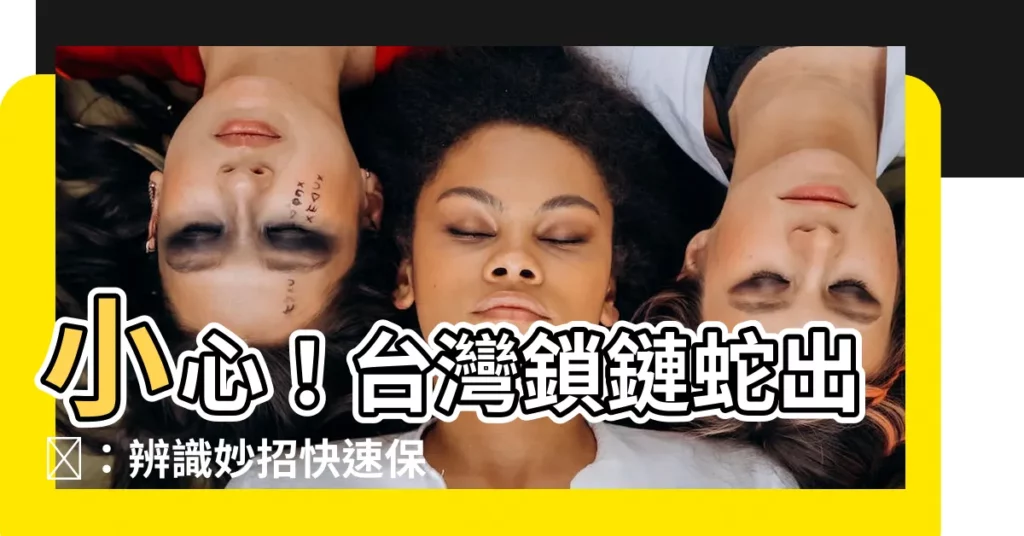 【鎖蛇】小心！台灣鎖鏈蛇出沒：辨識妙招快速保命
