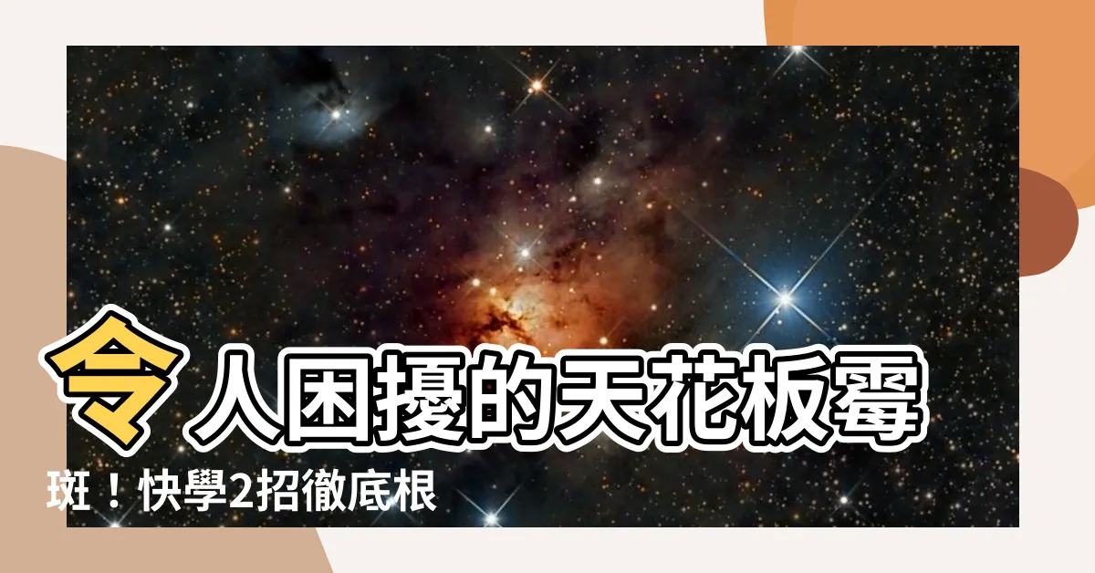 【天花板黴斑】令人困擾的天花板黴斑！快學2招徹底根除