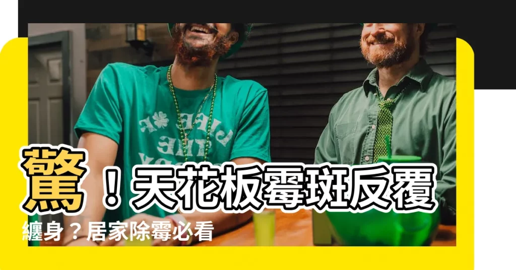 【天花板黴斑】驚！天花板黴斑反覆纏身？居家除黴必看！