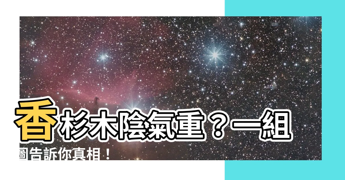 【香杉木陰氣】香杉木陰氣重？一組圖告訴你真相！