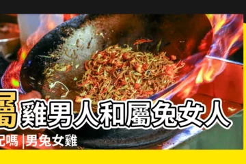 【男生肖雞和女生肖兔怎麼樣】屬雞男人和屬兔女人相配嗎 |男兔女雞婚姻相配好嗎如何化解男雞女兔屬相相沖 |屬兔男人和屬雞女人相配嗎 |
