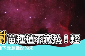 【樹苗種植】樹苗種植不藏私！輕鬆種下綠意盎然的未來