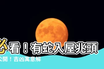 【有蛇入屋】必看！有蛇入屋兆頭大公開！吉凶寓意解析