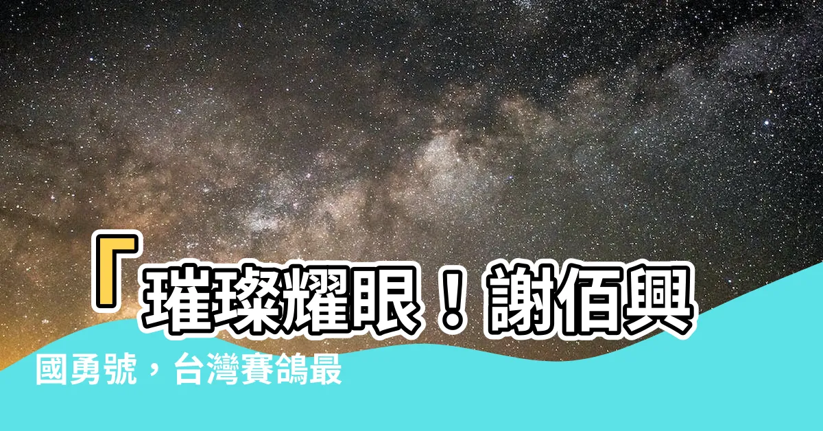 【謝佰興國勇號】「璀璨耀眼！謝佰興國勇號，台灣賽鴿最佳首選！」