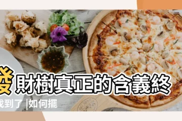【發財樹擺件的寓意】發財樹真正的含義終於找到了 |如何擺放才能帶來好運 |發財樹擺件寓意和象徵 |