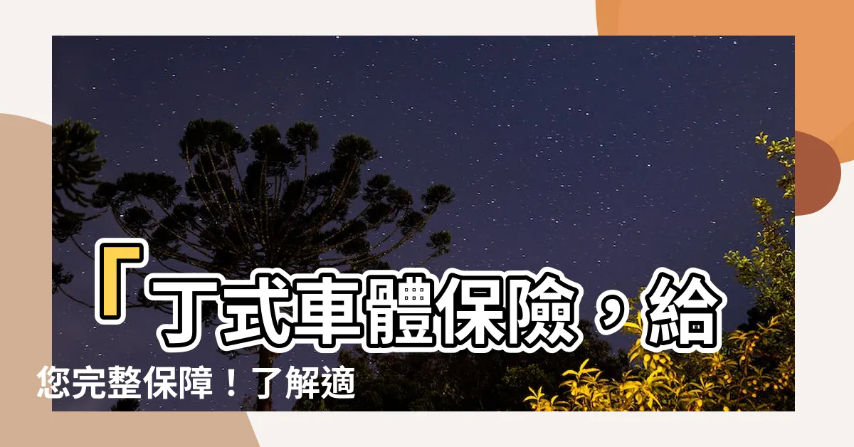 【丁式】「丁式車體保險，給您完整保障！瞭解適合的人羣及保障內容」