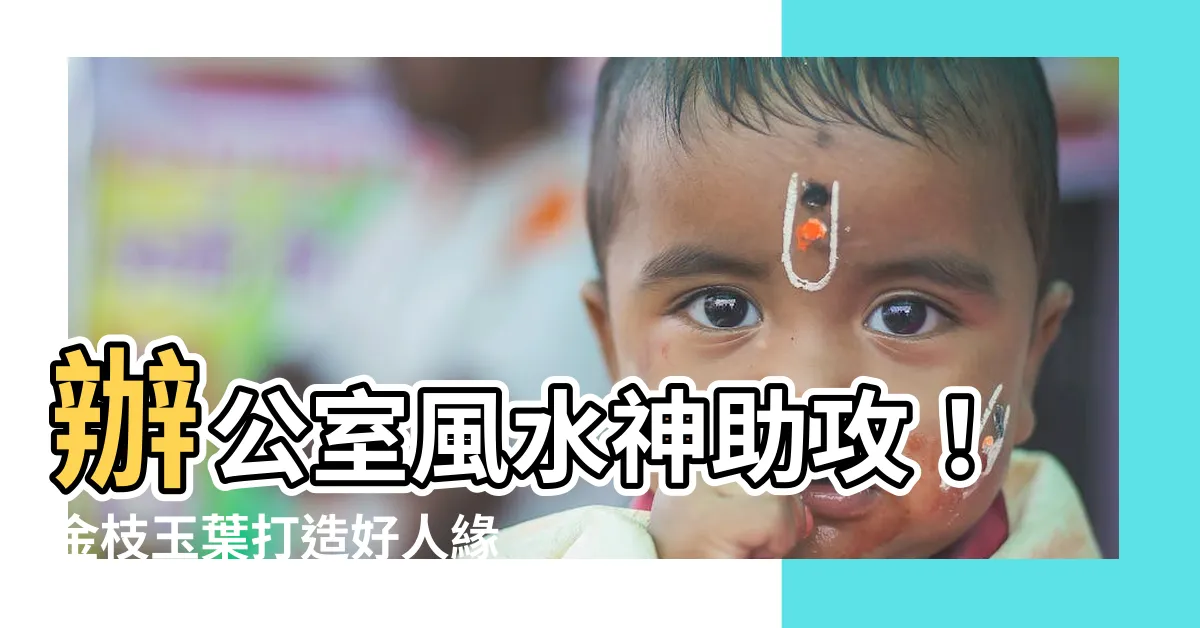 【金枝玉葉植物風水】辦公室風水神助攻！金枝玉葉打造好人緣、招財運