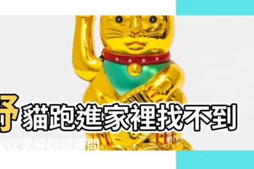 【野貓跑進家裡找不到】野貓跑進家裡找不到！貓奴求解超頭痛問題