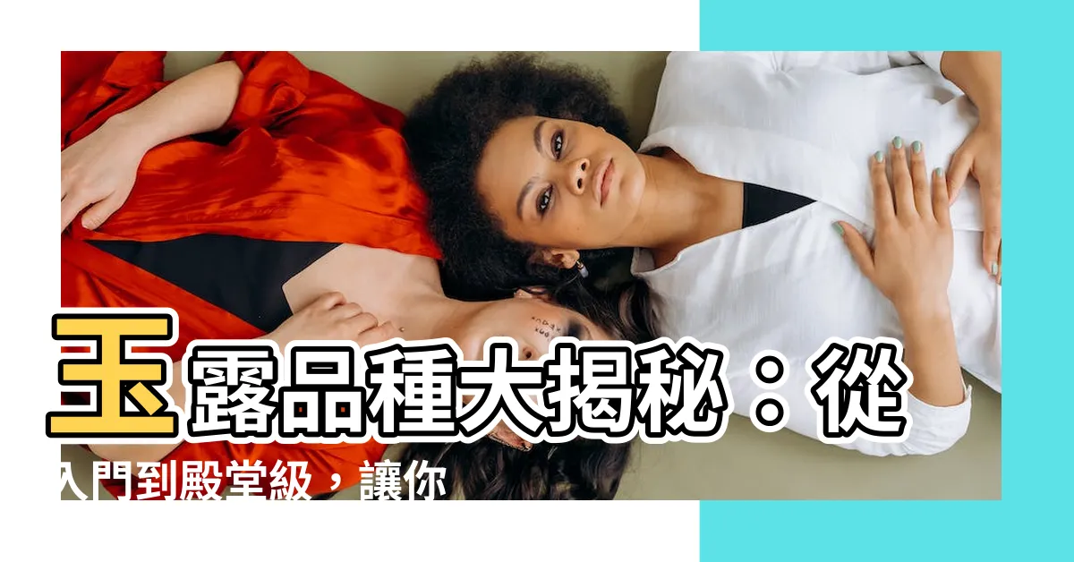 【玉露品種】玉露品種大揭秘：從入門到殿堂級，讓你一網打盡