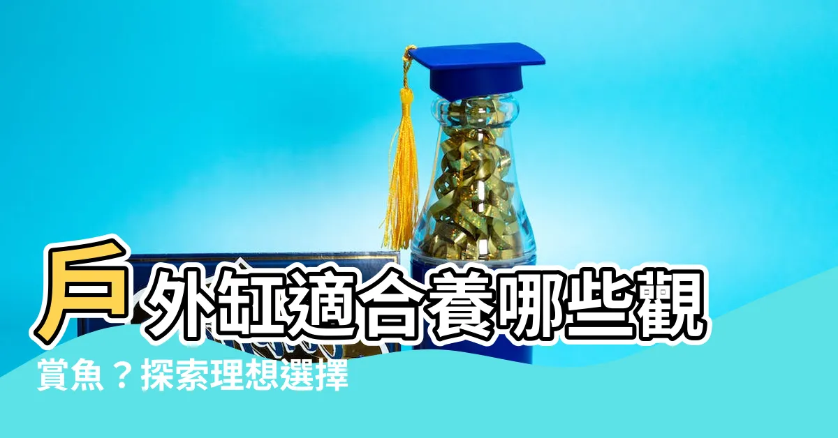 【户外缸適合養什麼魚】户外缸適合養哪些觀賞魚？探索理想選擇！