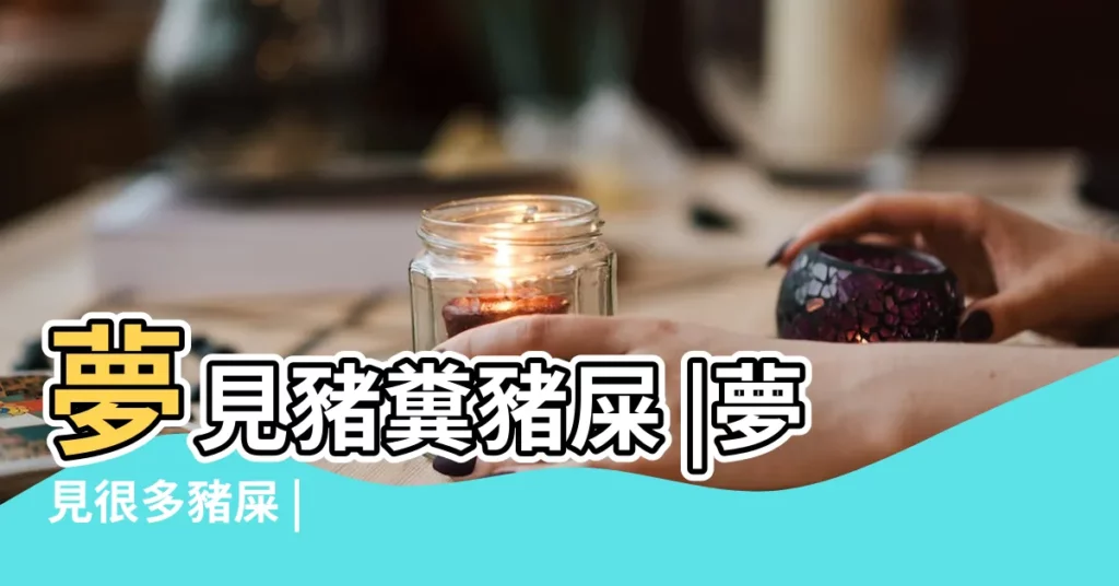 夢見豬糞豬屎 |夢見很多豬屎 |【女人夢見一堆豬屎】