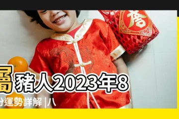 【屬豬八月出生的運勢】屬豬人2023年8月份運勢詳解 |八月出生屬豬人的運勢 |屬豬八月出生命運如何 |