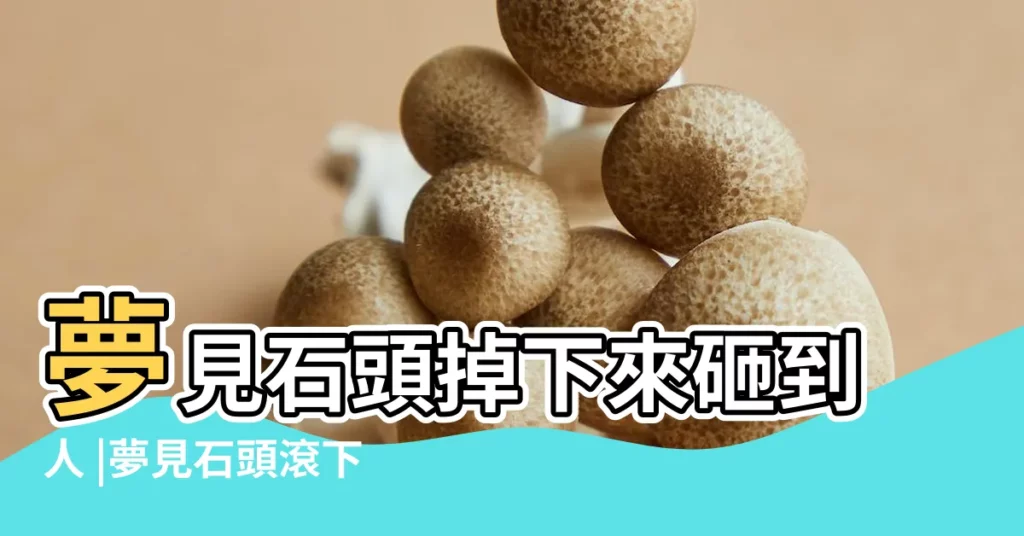 夢見石頭掉下來砸到人 |夢見石頭滾下來砸死人 |夢見石頭從山上滾下來 |【夢見山上滾石頭死人】