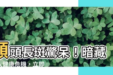 【額頭長斑】額頭長斑驚呆！暗藏驚人健康危機，立即詳查！
