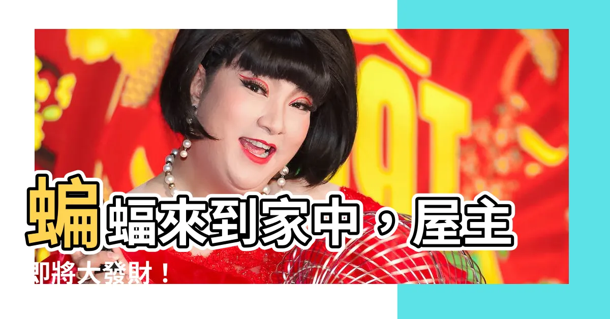 【蝙蝠來到家裡】蝙蝠來到家中，屋主即將大發財！