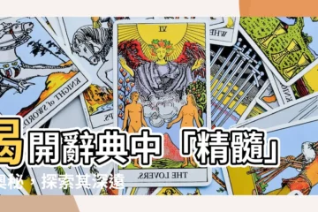 【精髓】揭開辭典中「精髓」的奧秘，探索其深遠意涵