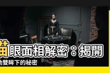 【貓眼 面相】貓眼面相解密：揭開靈動雙眸下的秘密