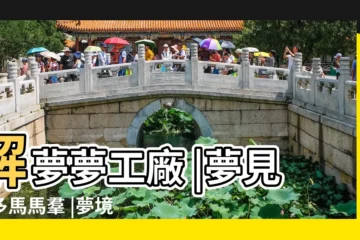 【夢見好多的馬】解夢夢工廠 |夢見很多馬馬羣 |夢境解析 |