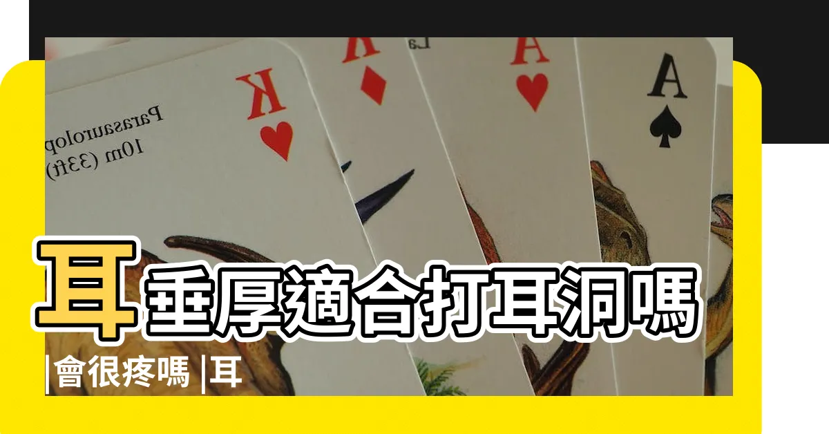 【耳垂大 打耳洞】耳垂厚適合打耳洞嗎 |會很疼嗎 |耳垂大的適合打耳洞嗎 |