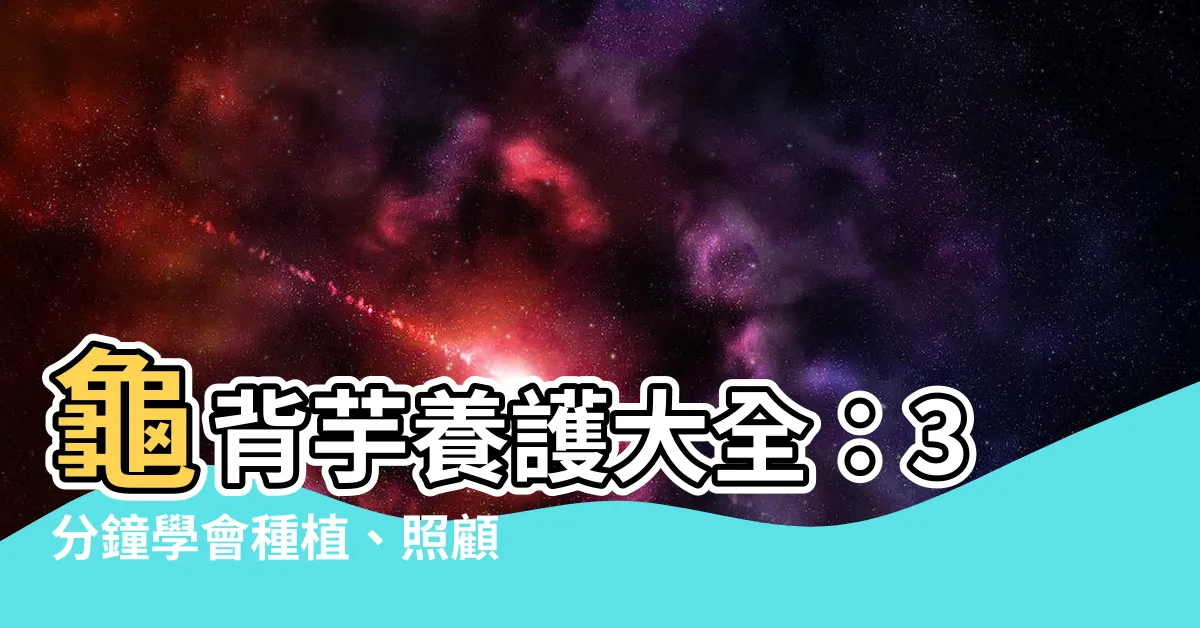 【龜背竽】龜背芋養護大全：3分鐘學會種植、照顧，打造室內綠意天堂