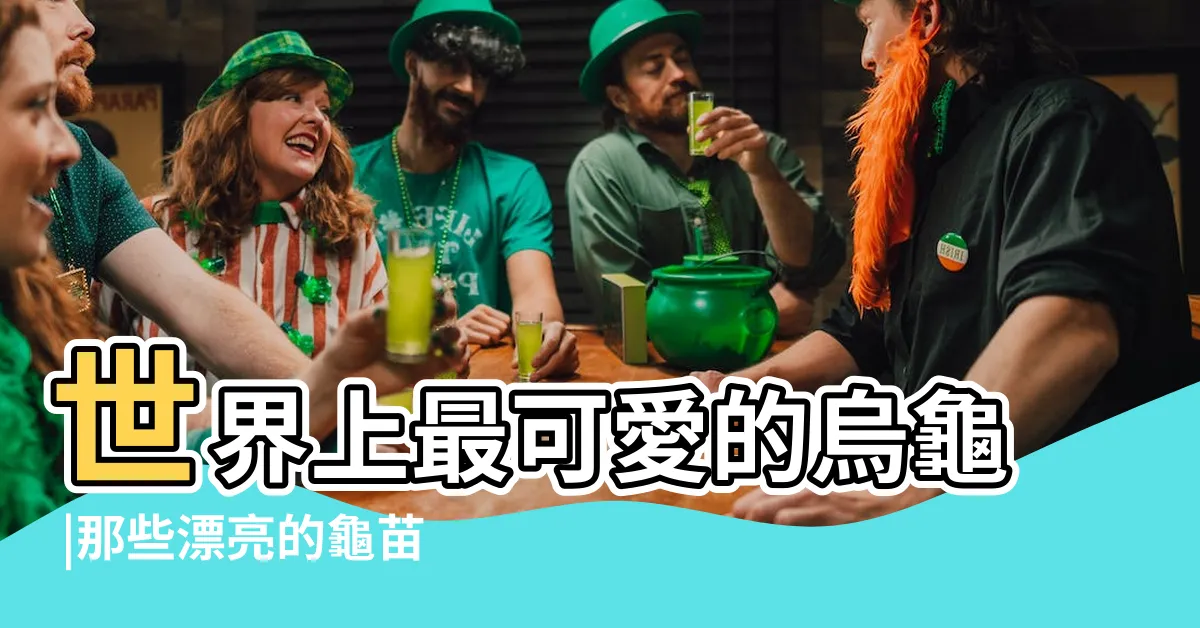 【可愛烏龜品種】世界上最可愛的烏龜 |那些漂亮的龜苗長大後變醜的烏龜品種 |深水龜玩家的最愛 |