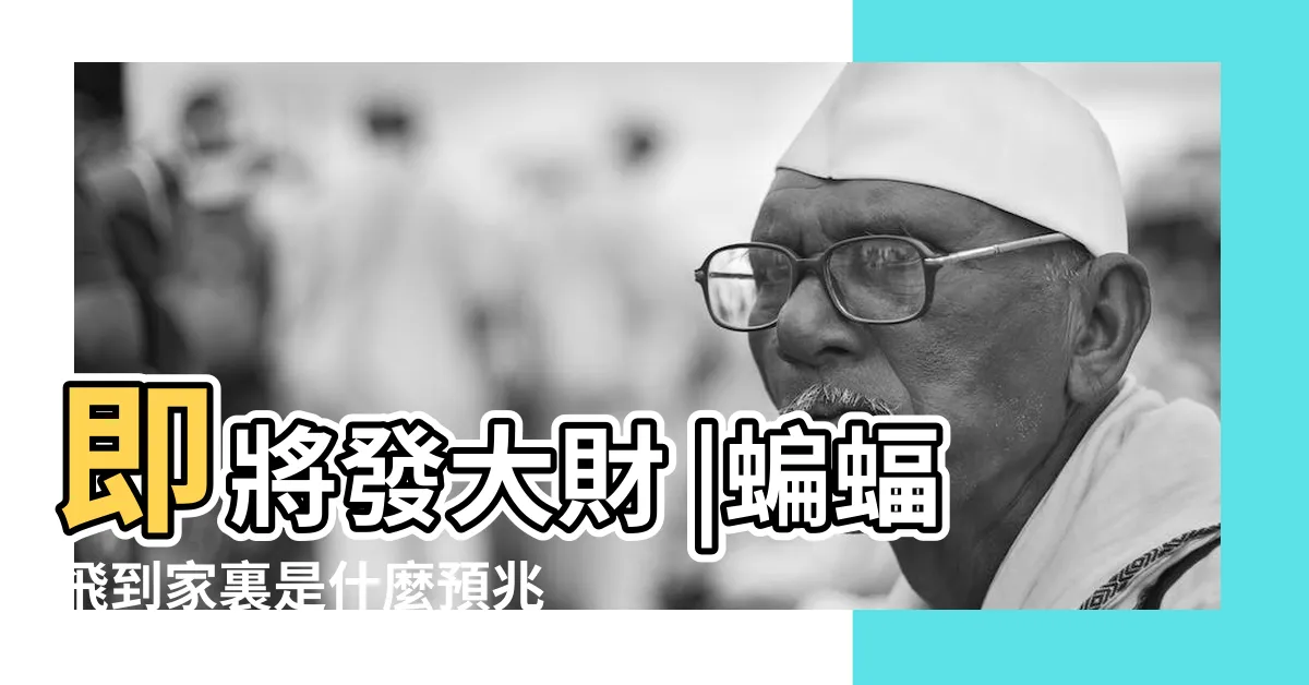 【蝙蝠飛來家裡】即將發大財 |蝙蝠飛到家裏是什麼預兆 |屋主準備暴富了 |