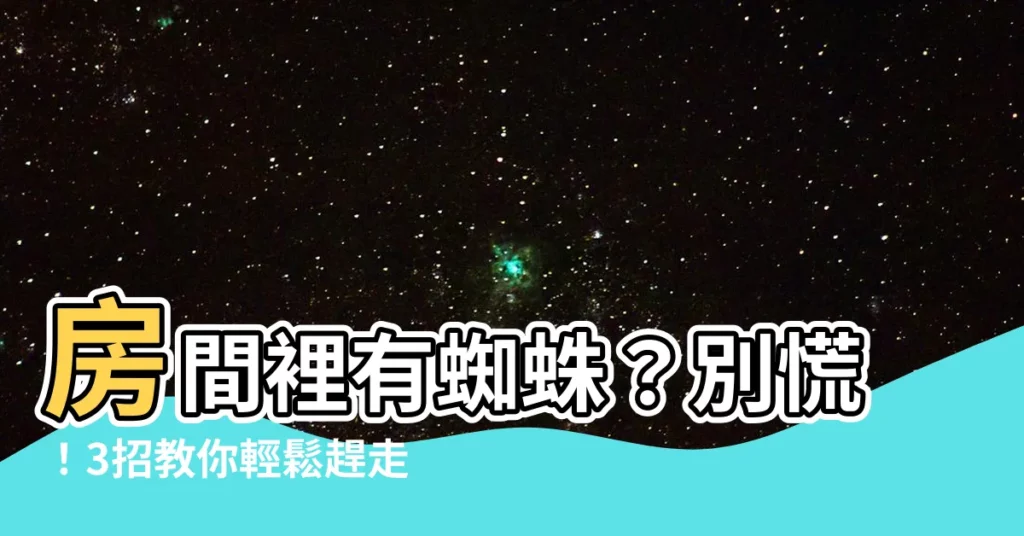 【房間 蜘蛛】房間裡有蜘蛛？別慌！3招教你輕鬆趕走牠