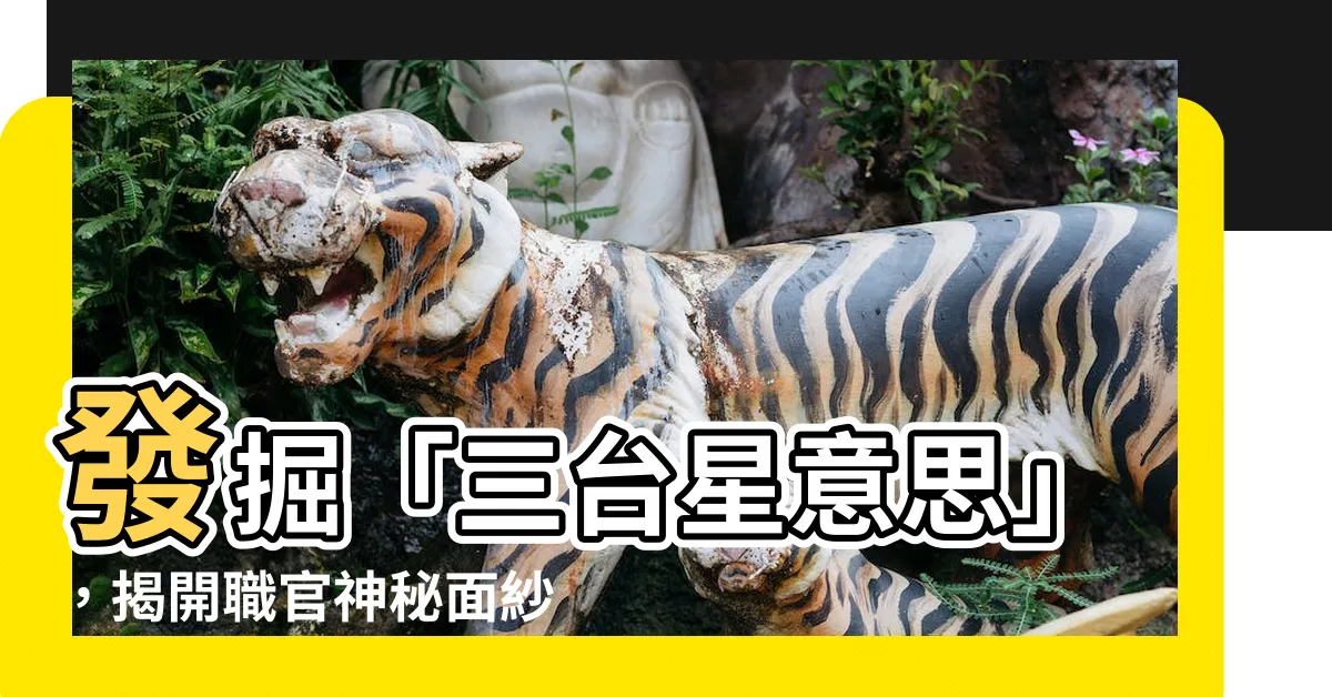 【三台星意思】發掘「三台星意思」，揭開職官神秘面紗！