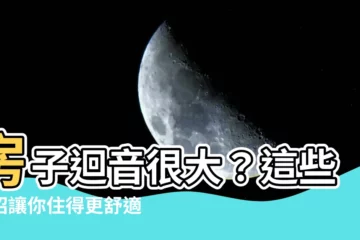 【房子迴音很大】房子迴音很大？這些妙招讓你住得更舒適！