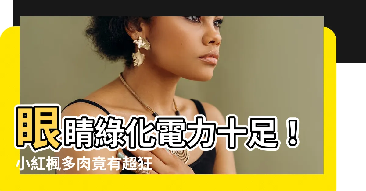 【小紅楓】眼睛綠化電力十足！小紅楓多肉竟有超狂發電效應