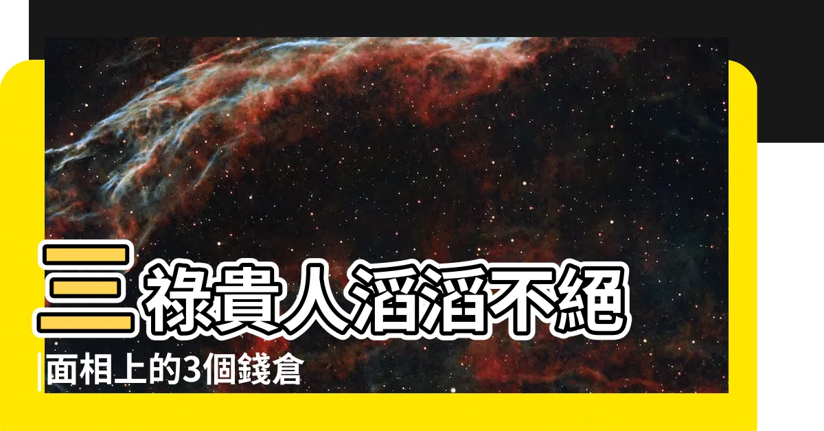 【地庫面相】三祿貴人滔滔不絕 |面相上的3個錢倉看出少年 |晚年財運 |
