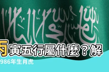 【丙寅 五行】丙寅五行屬什麼？解析1986年生肖虎的命理