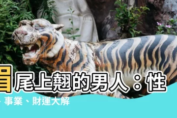 【眉尾上翹】眉尾上翹的男人：性情、事業、財運大解析