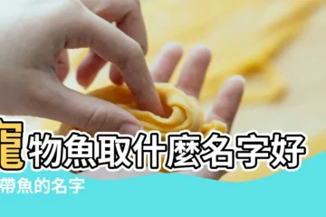 【魚取好聽的名字大全】寵物魚取什麼名字好聽 |帶魚的名字 |帶魚字的男孩名字 |