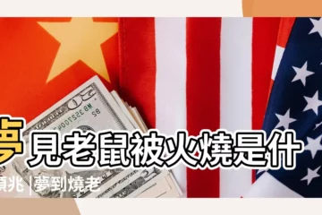 【夢見老鼠燒着】夢見老鼠被火燒是什麼預兆 |夢到燒老鼠是什麼意思 |夢見火燒老鼠 |