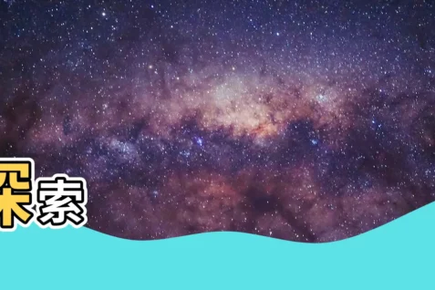【臀部】探索