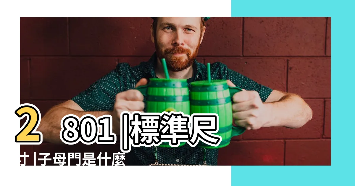 【雙開門尺寸】2801 |標準尺寸 |子母門是什麼 |