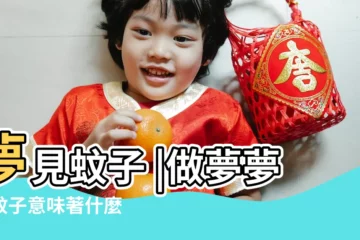 【周公解夢 蚊蟲】夢見蚊子 |做夢夢見蚊子意味著什麼 |