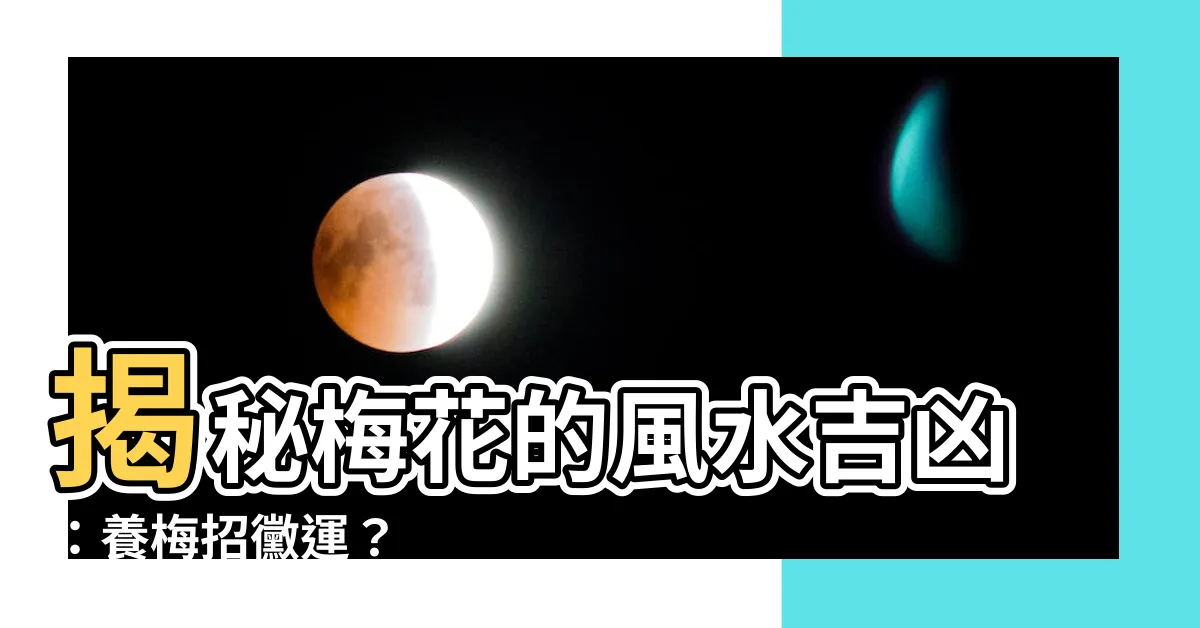 【梅 風水】揭秘梅花的風水吉凶：養梅招黴運？