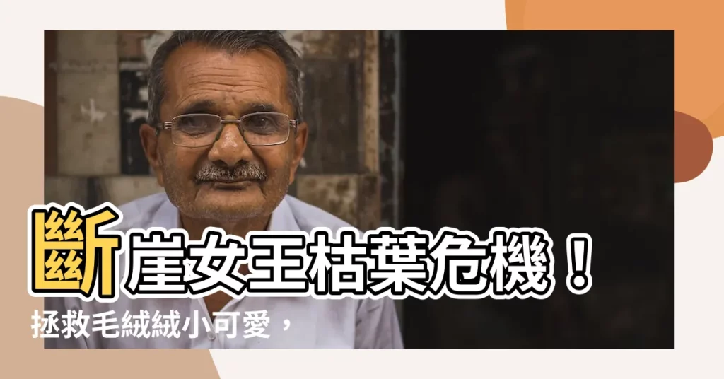 【斷崖女王枯葉】斷崖女王枯葉危機！拯救毛絨絨小可愛，秘訣公開