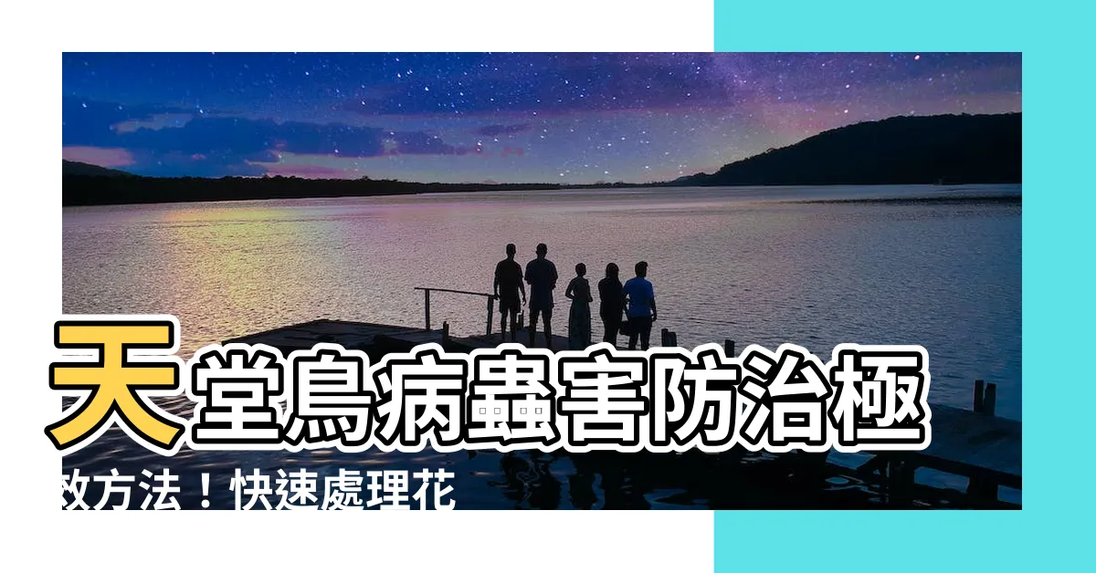 【天堂鳥 蟲】天堂鳥病蟲害防治極效方法！快速處理花卉寵物的天堂鳥長蟲問題！