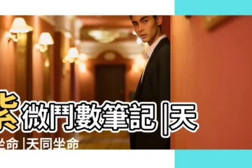 【紫微鬥數天同長相】紫微鬥數筆記 |天同坐命 |天同坐命的女人漂亮 |