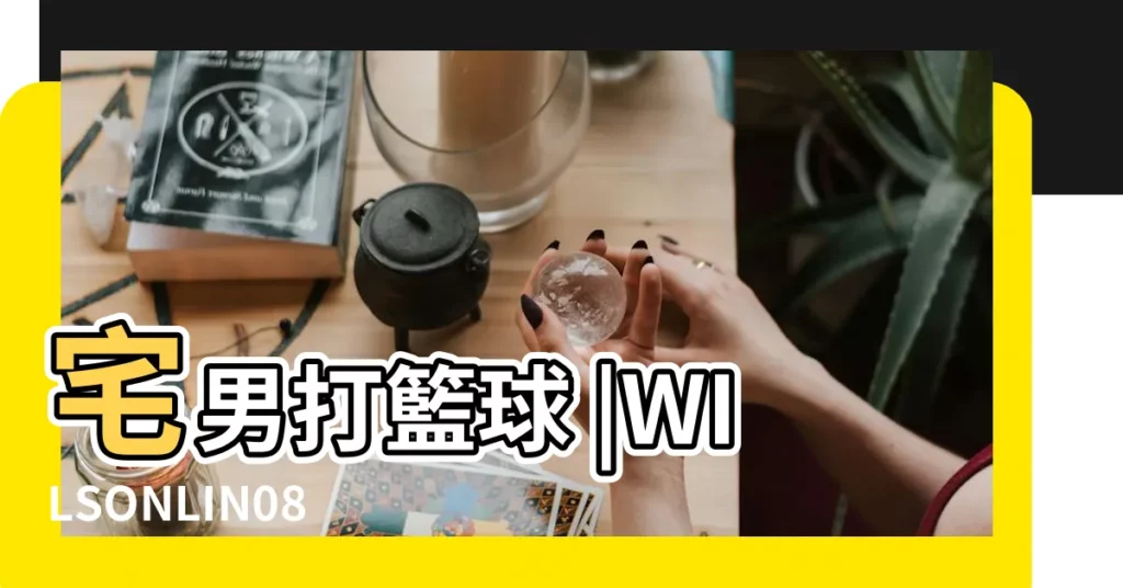 宅男打籃球 |WILSONLIN0810 |Scratch |【喜歡打藍球的網名】