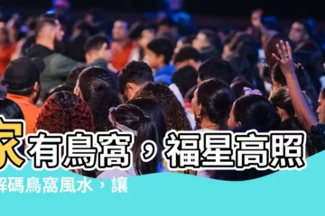 【家有鳥窩】家有鳥窩，福星高照！解碼鳥窩風水，讓你福氣滿滿！